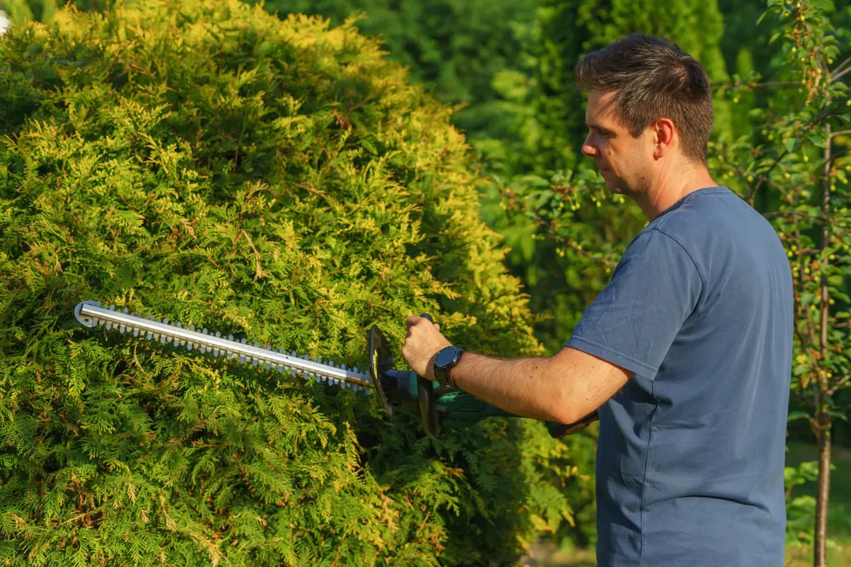 Common Landscaping Mistakes UK Homeowners Make (and How to Avoid Them)